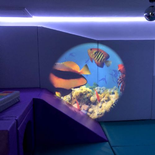 Bishopswood School Sensory Room